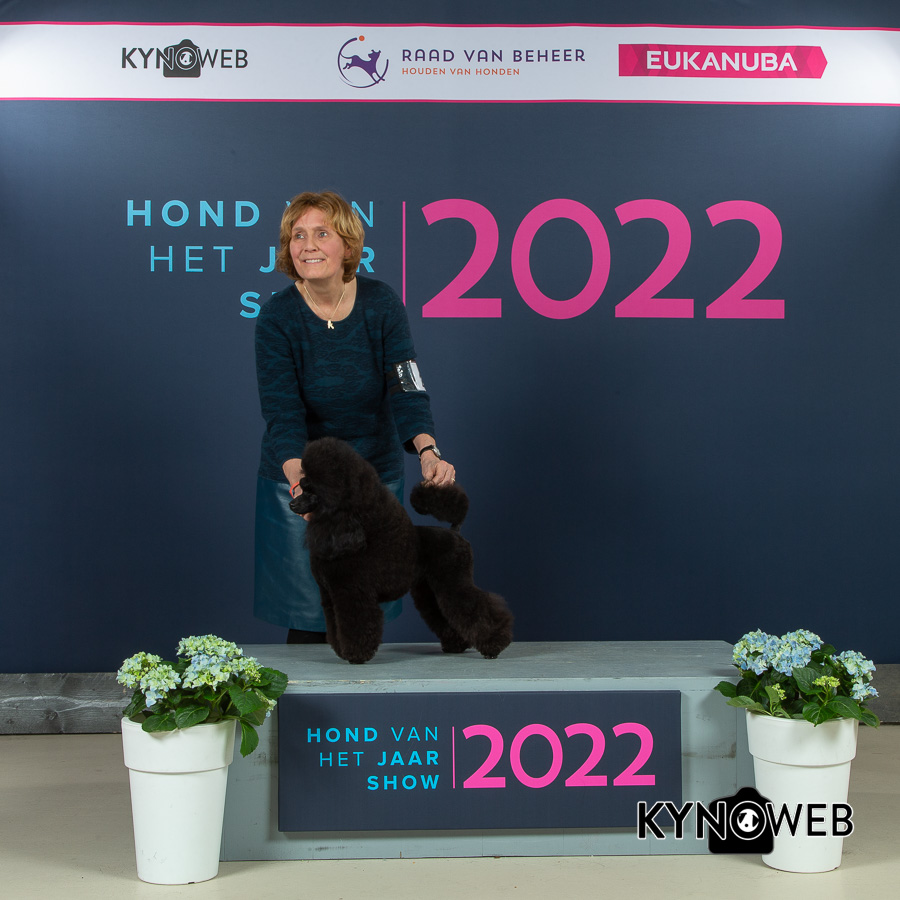 Hond van het jaar 2023